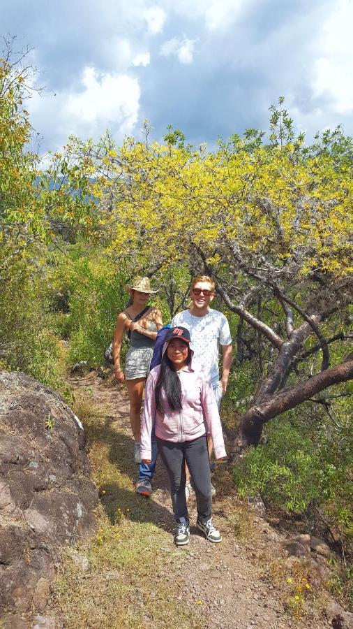 Lizu Tu Casa En Un Pueblo Zapoteca Bed & Breakfast Teotitlan del Valle Luaran gambar